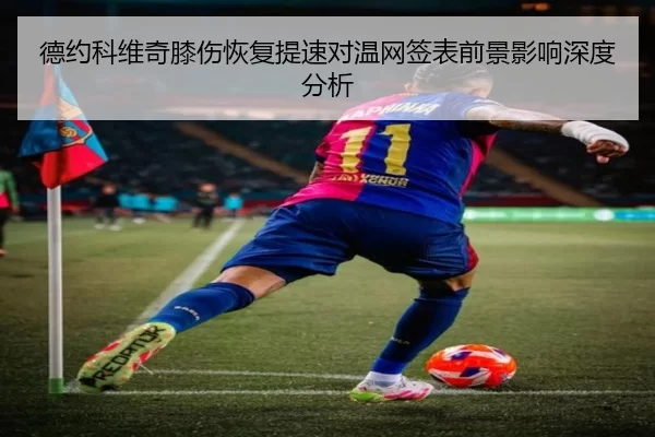 德约科维奇膝伤恢复提速对温网签表前景影响深度分析